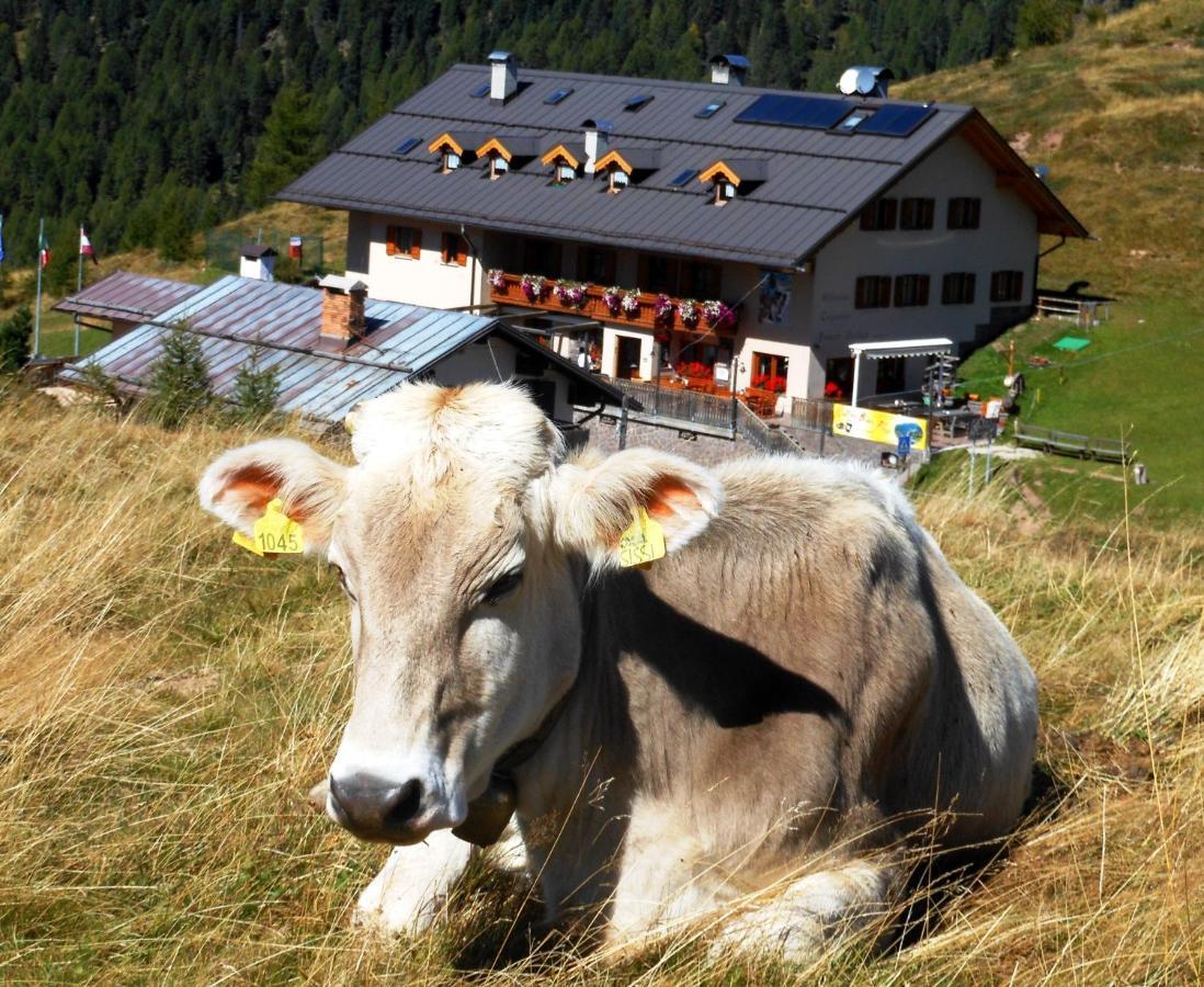 فالكادي Rifugio Capanna Passo Valles المظهر الخارجي الصورة